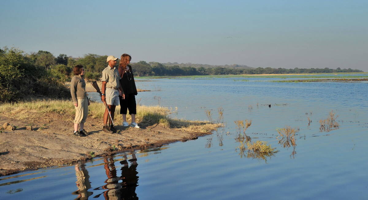 chobe safari botswana