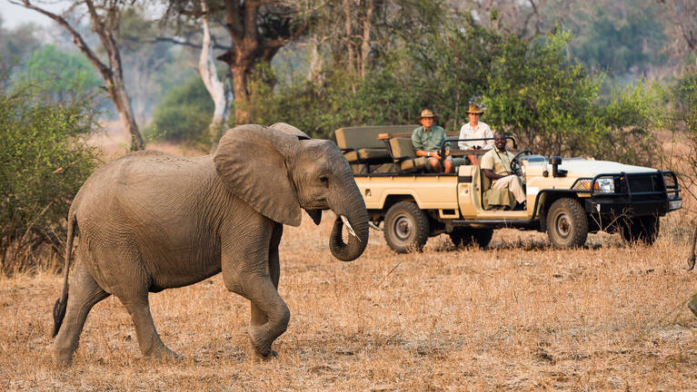 Hyena Safari: flights & prices