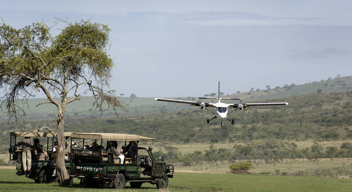 safari de ngorongoro