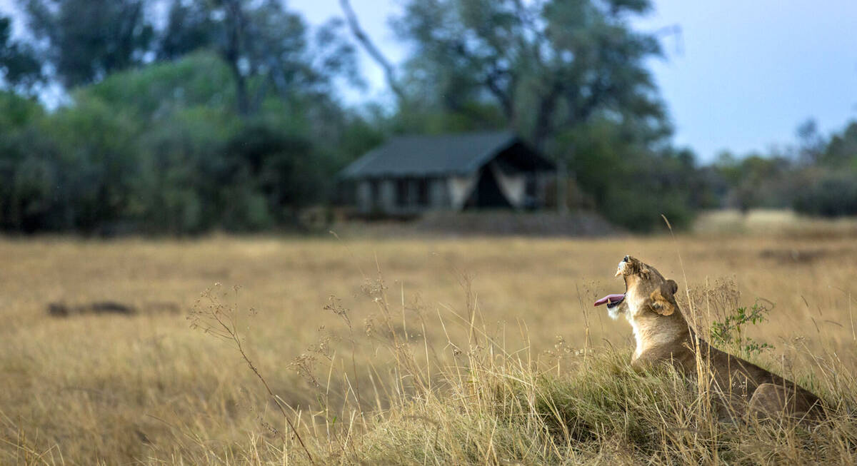 machaba safaris botswana