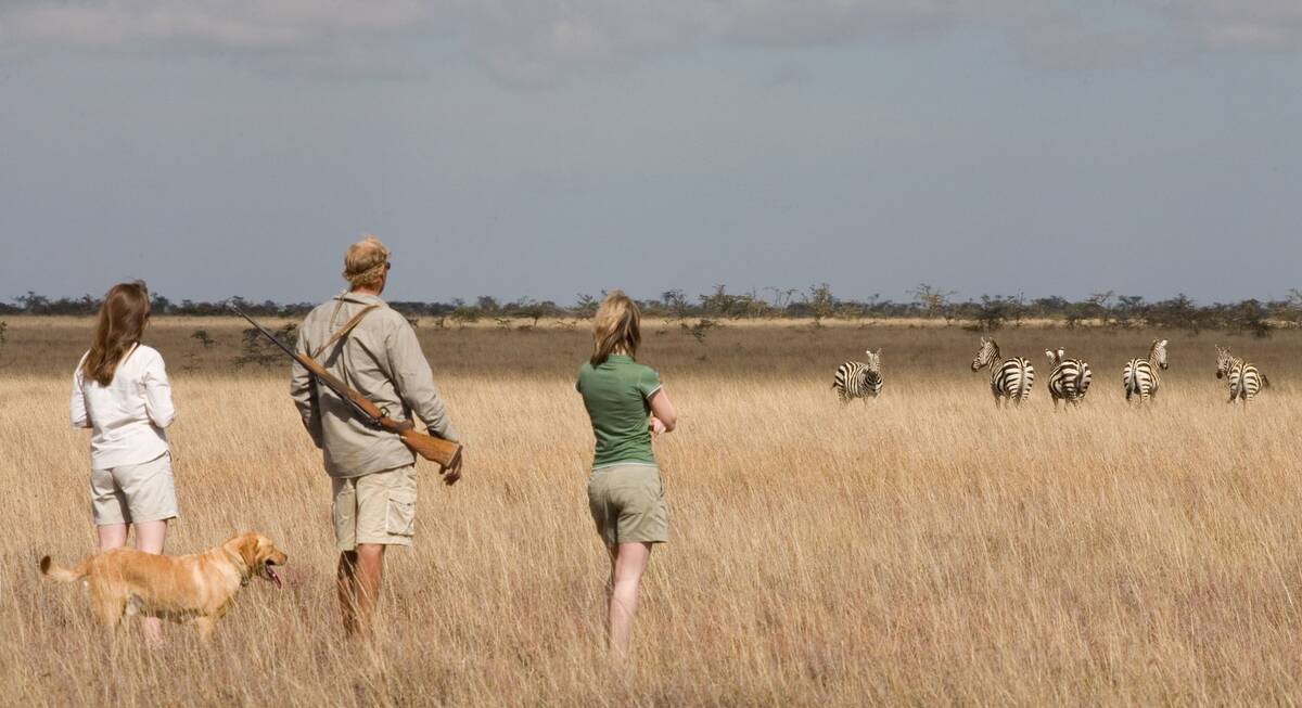 laikipia safari camp