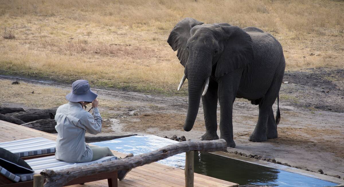 safari in hwange