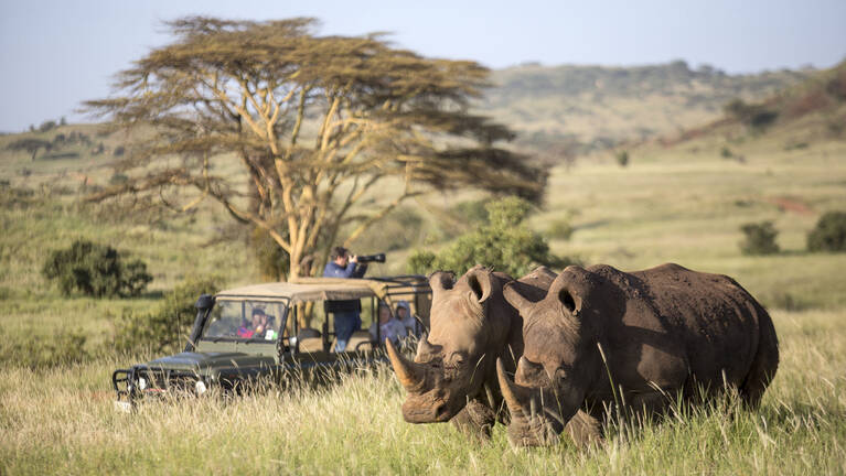 African Finfoot Fly-in Safari: flights & prices