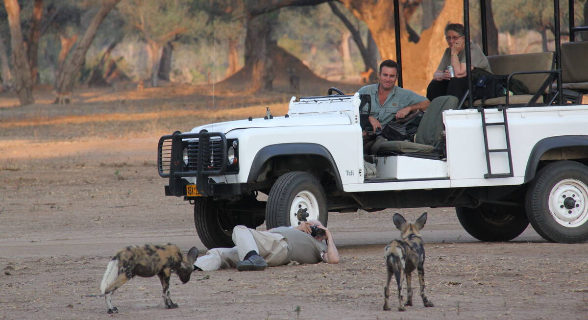 safari hwange national park