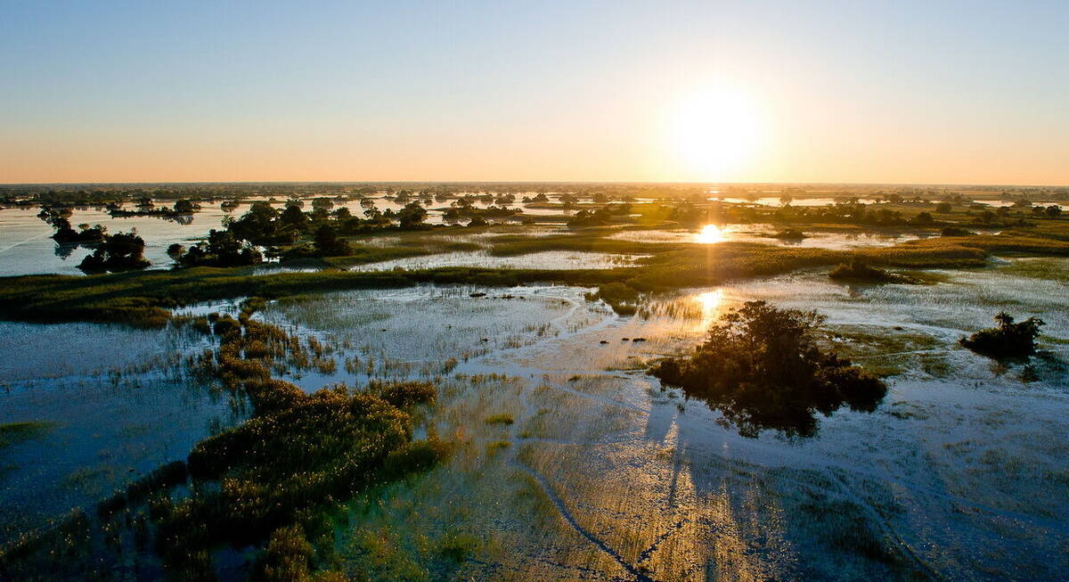 chobe safari botswana