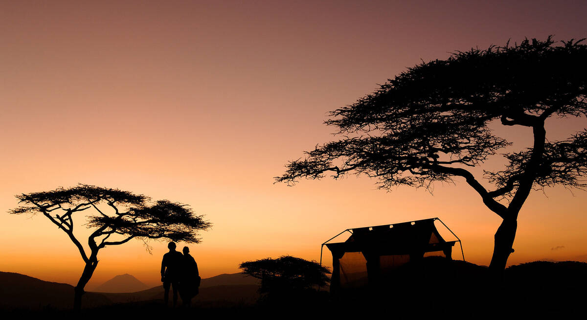 safari de ngorongoro