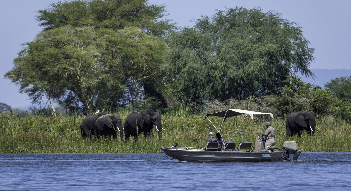 majete safari malawi