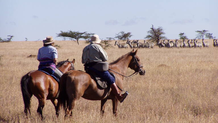 Hamerkop Fly-In Safari: flights & prices