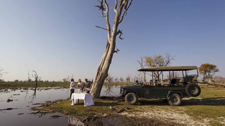 Wild Dog Safari: flights & prices