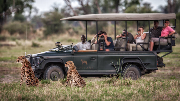Large-spotted Genet Safari: flights & prices