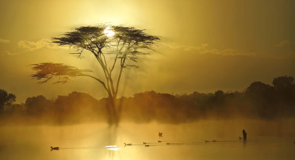 laikipia safari camp