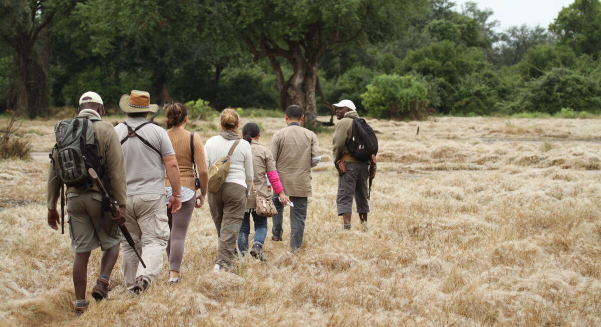 safari in hwange