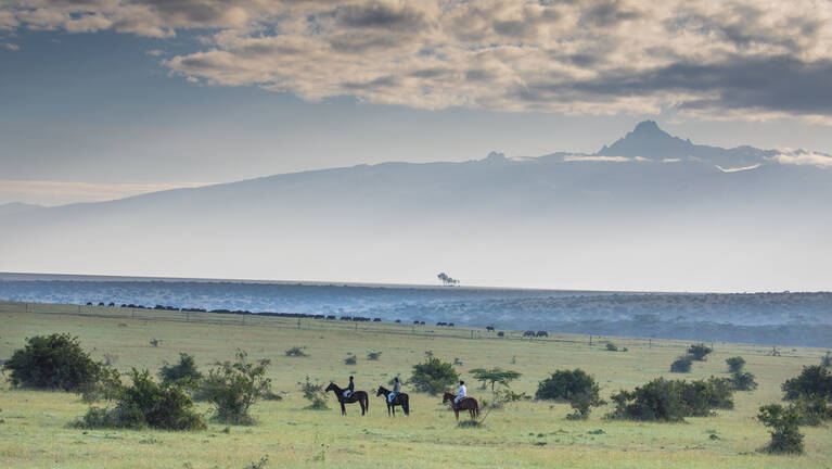 Rothschild Giraffe Safari: flights & prices