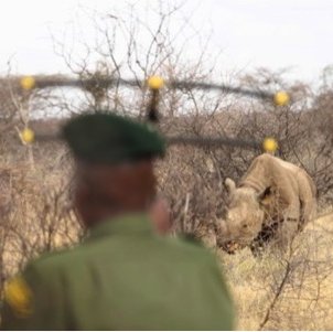 Saruni Rhino sustainability