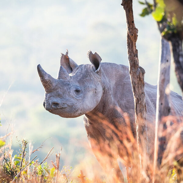 Takwela Camp sustainability