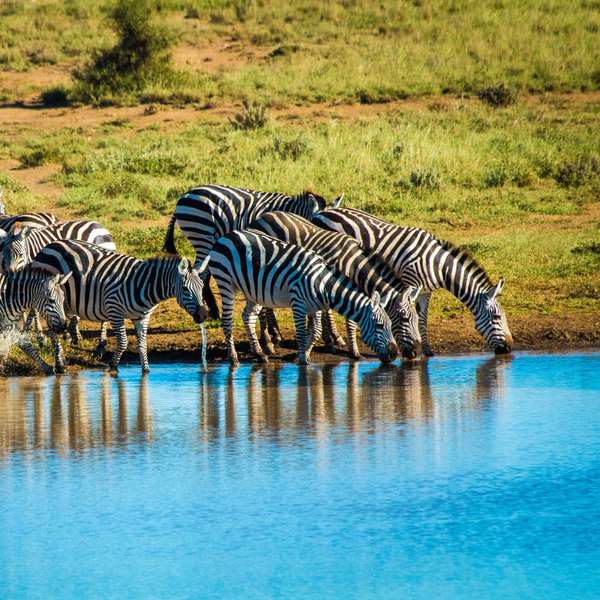 Ol Donyo Lodge sustainability