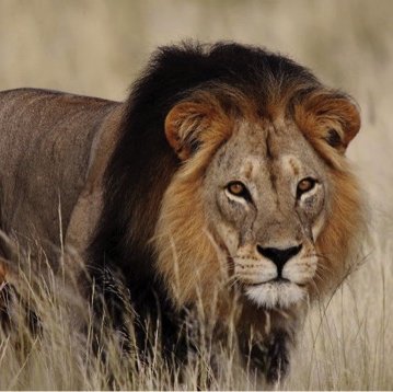 Hobatere Lodge sustainability