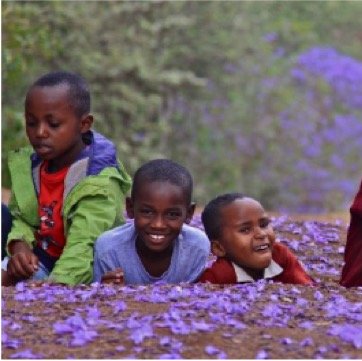 Entamanu Ngorongoro sustainability