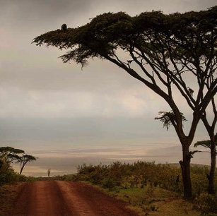 The Highlands sustainability