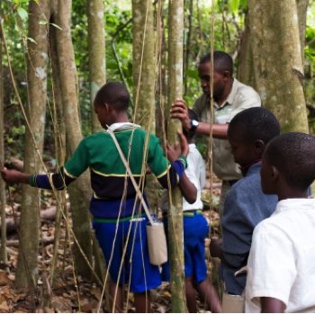 Greystoke Mahale sustainability