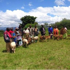 Virunga Lodge sustainability