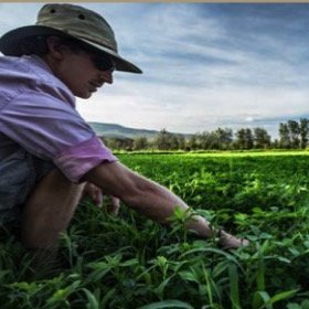 Borana sustainability