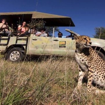 Cheetah View Lodge sustainability