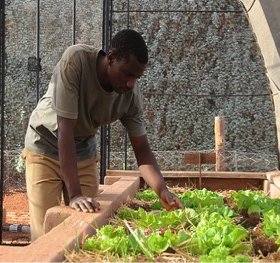 Wolwedans Desert Lodge sustainability