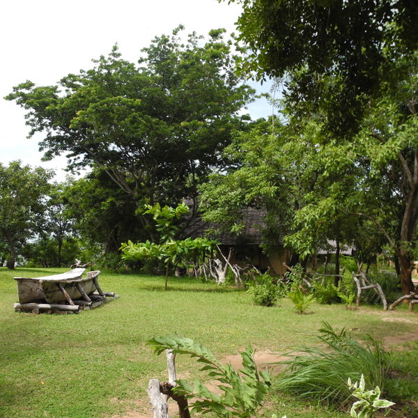 Shamba Kilole sustainability
