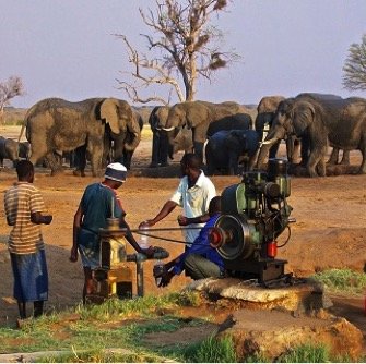 Camelthorn sustainability