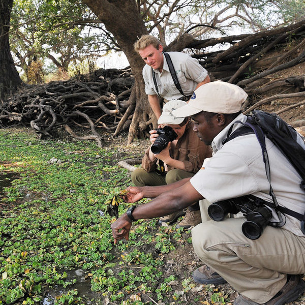 Mwamba Bushcamp sustainability