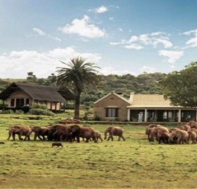 Gorah Elephant Camp sustainability