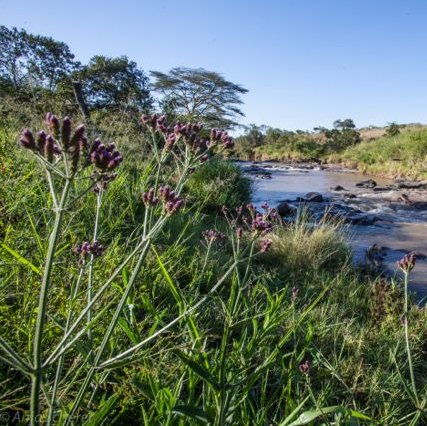 El Karama Lodge sustainability