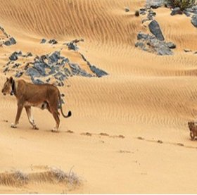 Hoanib Skeleton Coast Camp sustainability