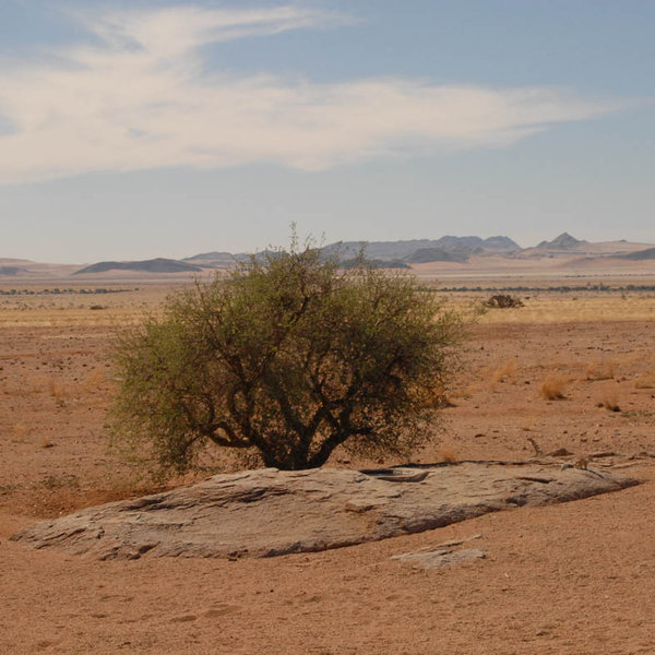 Namib Naukluft Lodge