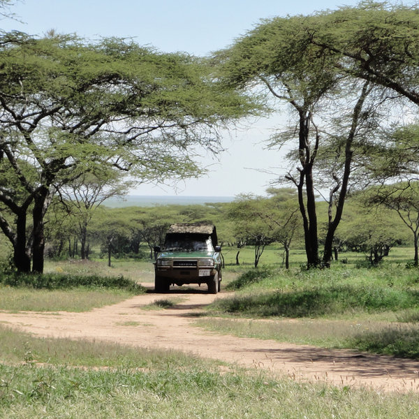 Alex Walker's Serian Serengeti