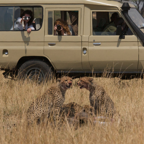 Alex Walker's Serian Serengeti