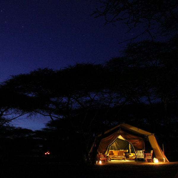 Alex Walker's Serian Serengeti