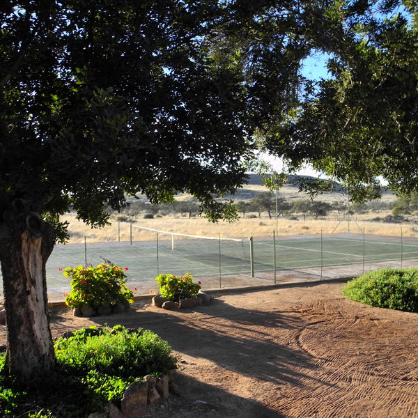 Dabis Guest Farm