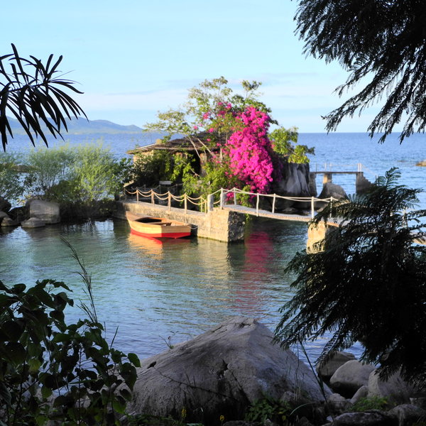 Kaya Mawa