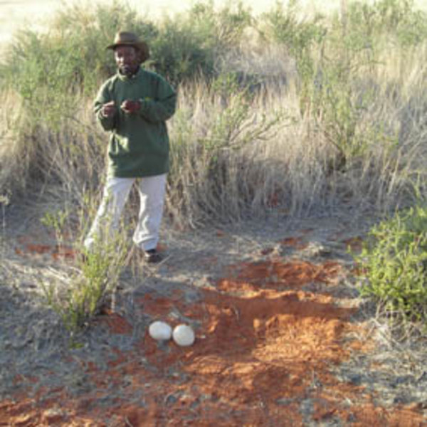 Kalahari Anib Lodge