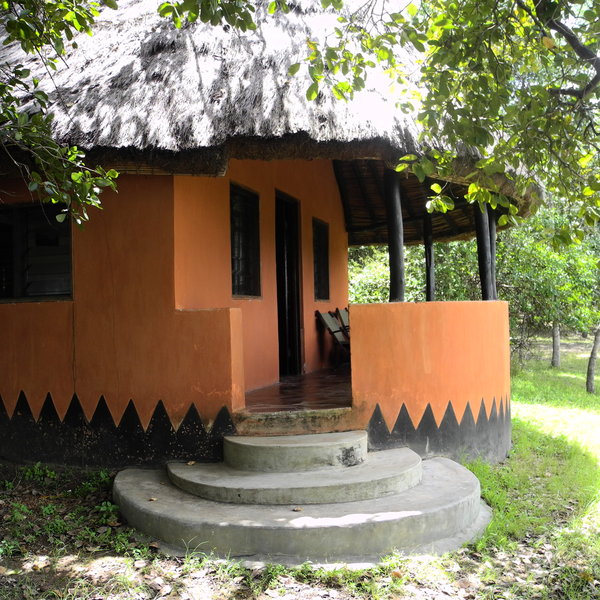 Some have verandas…