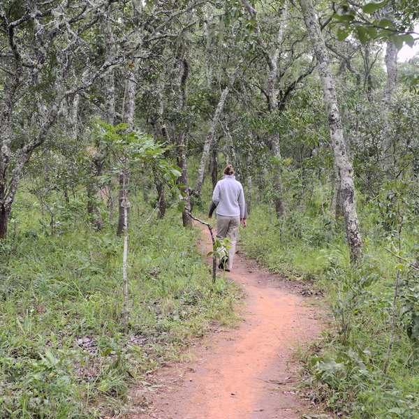Activities include taking yourself on long walks…