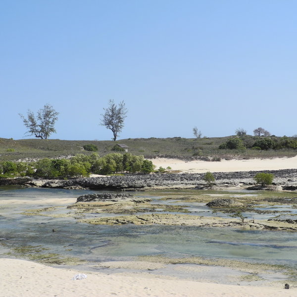 ... which is great for snorkelling at low tide.