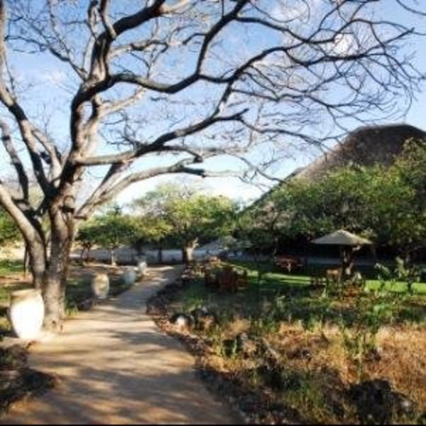 Etosha Gateway provides a convenient base from which to explore Etosha National Park