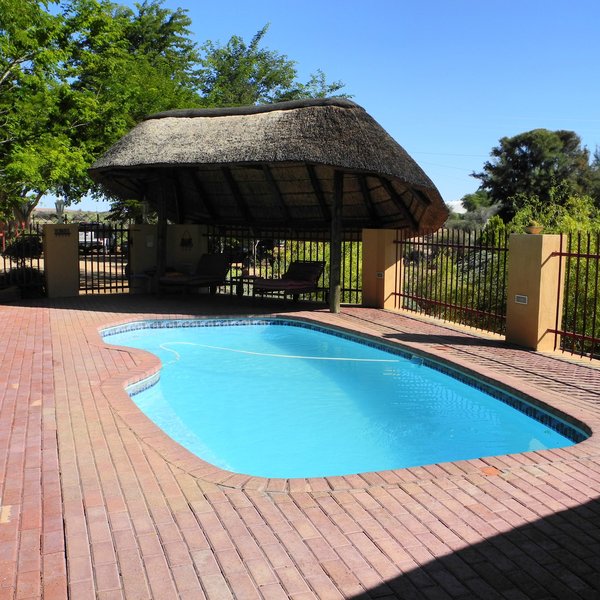the sparkling swimming pool ...