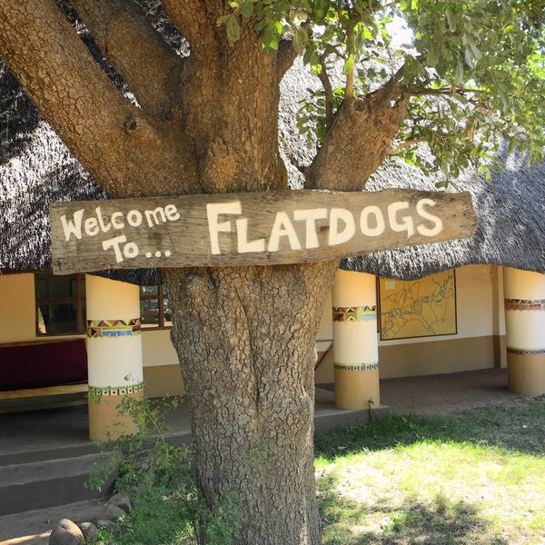 Flatdogs Camp