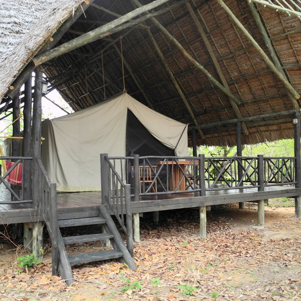 ... each under a shady thatched roof.