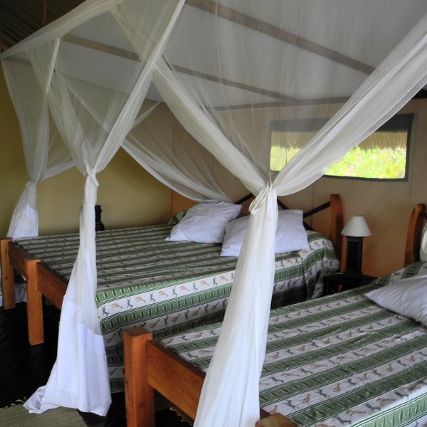 Inside the tents are simple, with twin-beds under mosquito nets, ...