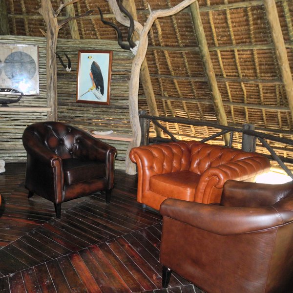 ...or sink into an armchair and browse some wildlife books.